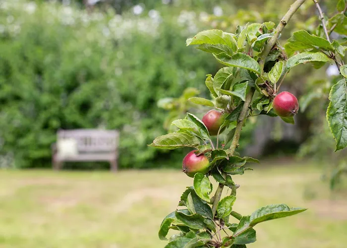 Fehmarn-ostseeferien Apfelbluete 199 1 * Fehmarn